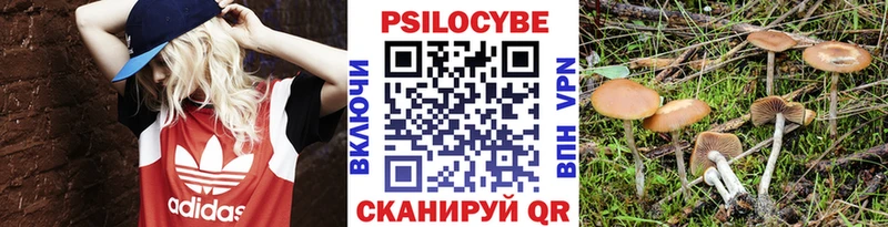 хочу   KRAKEN ONION  Псилоцибиновые грибы Cubensis  shop клад  Пласт 